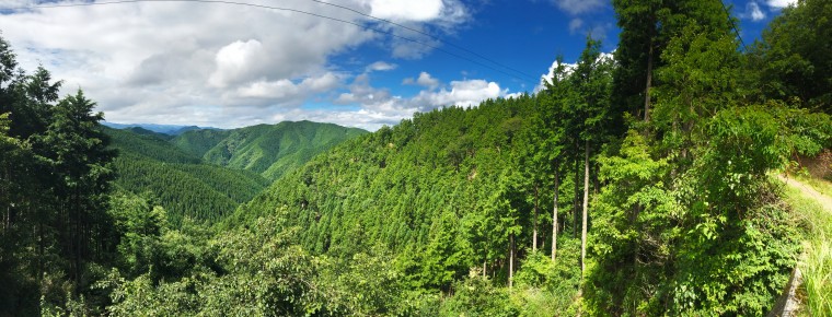 hike
