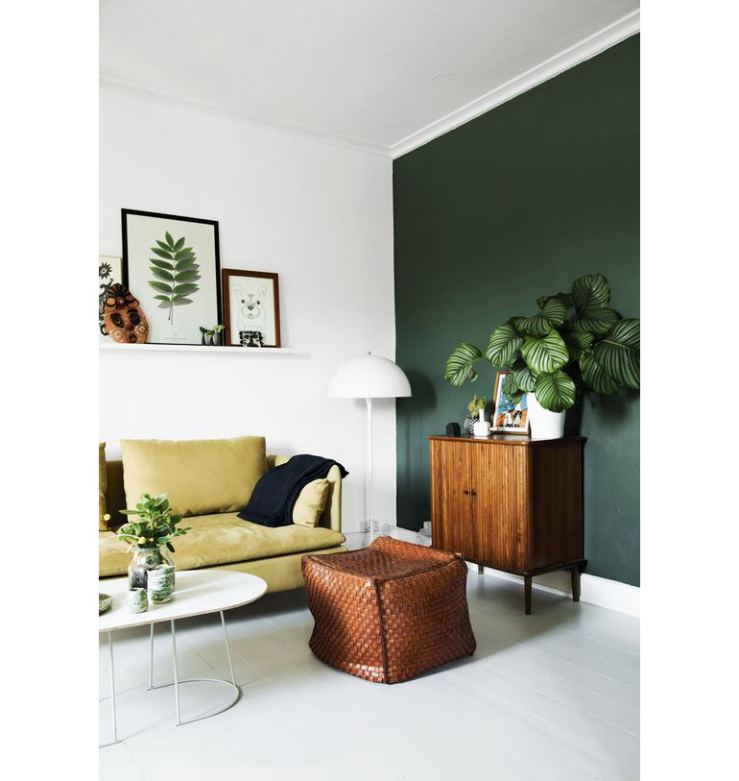 Pronken met een groentint op de muur interior junkie