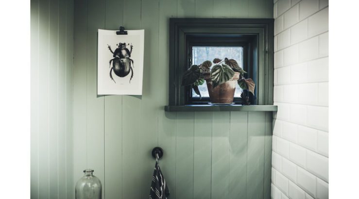 Pronken met een groentint op de muur interior junkie