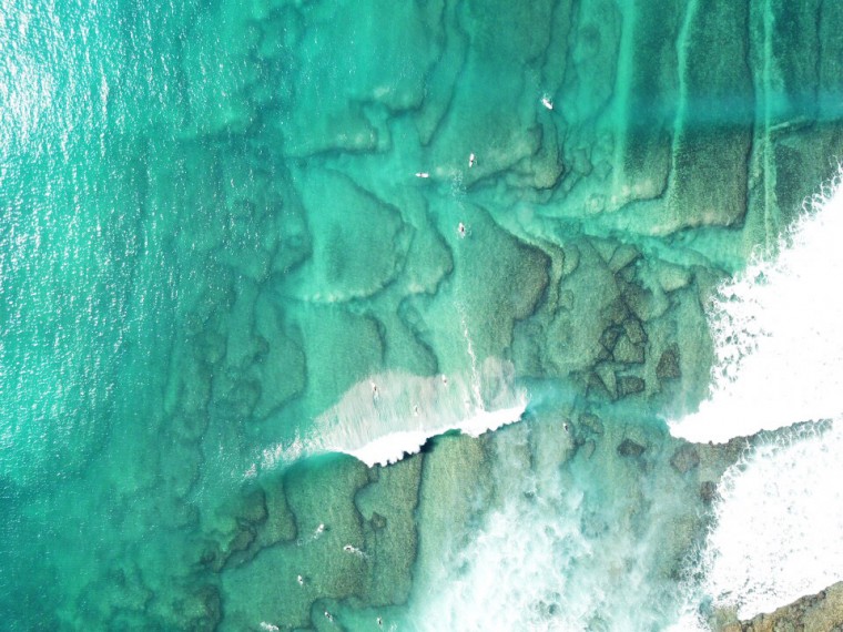 surf