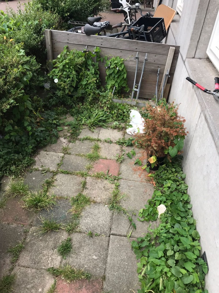 tuin