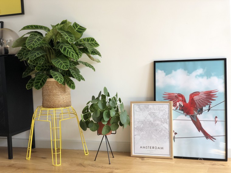 posters
