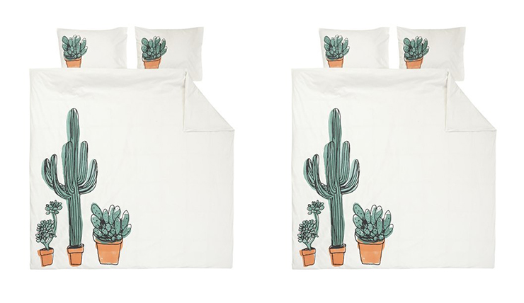 slapen tussen de cactussen minder prikkelig dan je denkt
