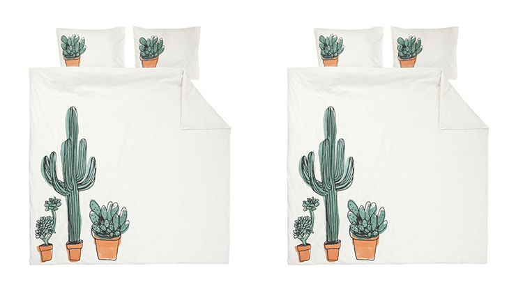 Slapen tussen de cactussen Minder prikkelig dan je denkt slapen tussen de cactussen minder prikkelig dan je denkt