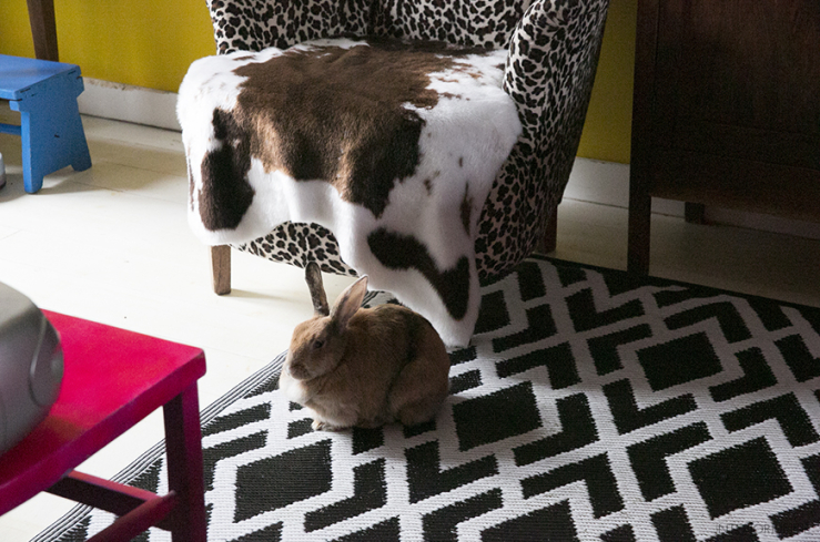 Wooninspiratie uit het kleurrijke huis van Odet