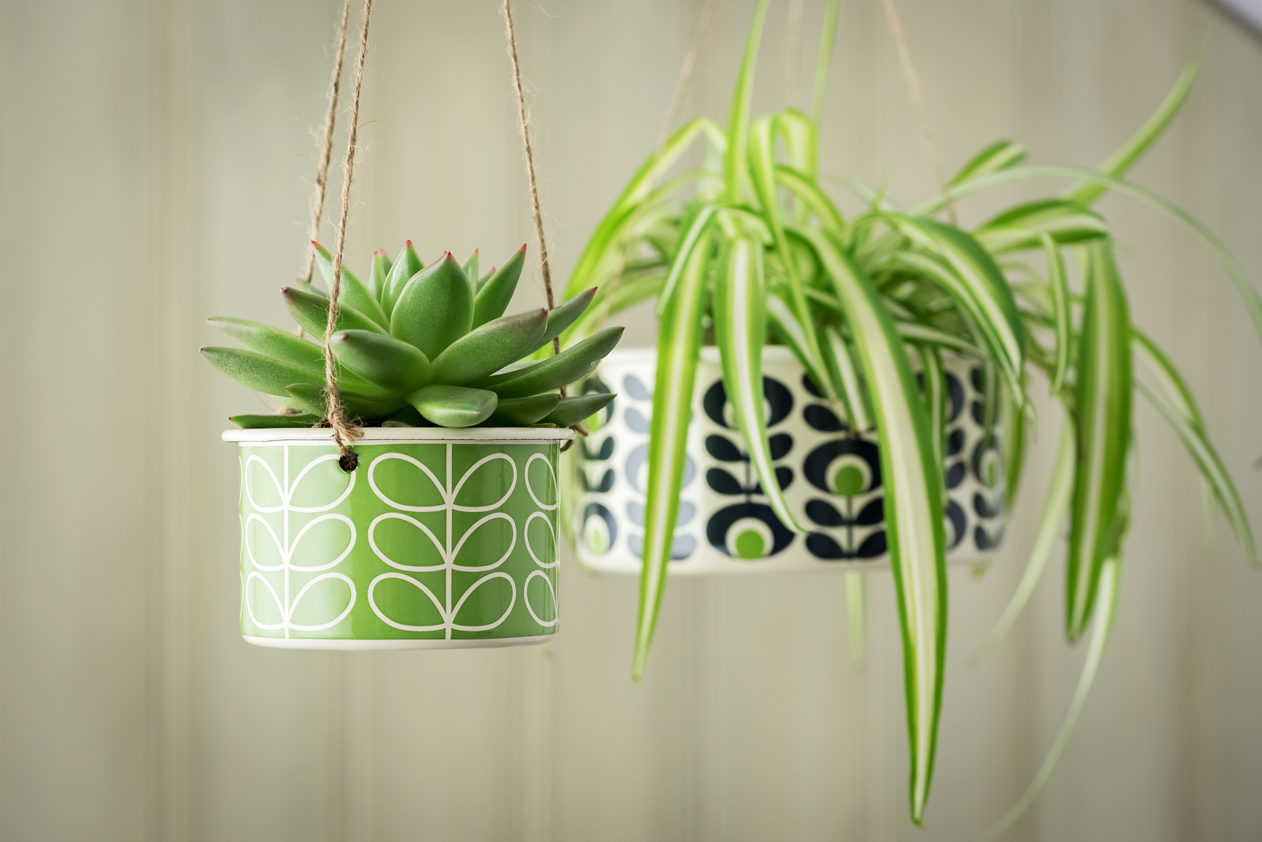 Help! Mijn planten gaan dood