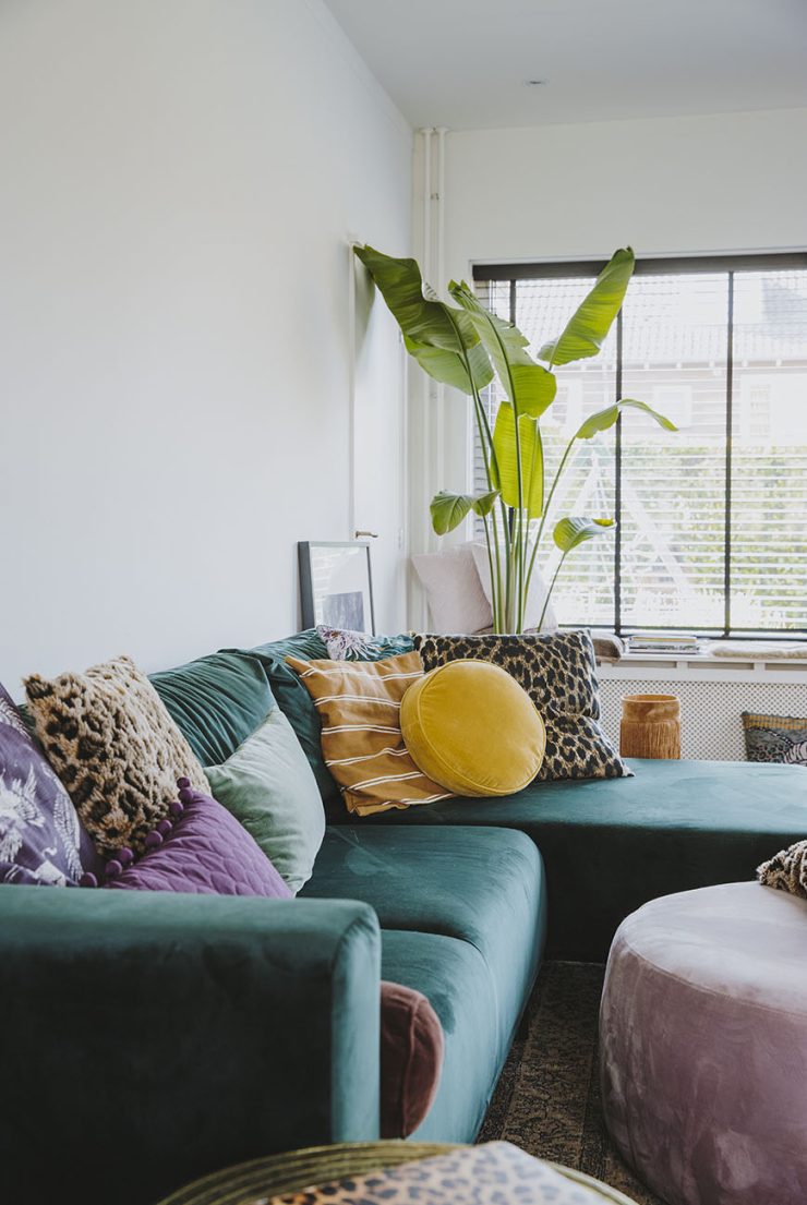Thuis in het hysterische huis vol kussens van Lizet Greve
