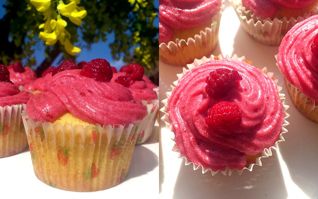 heerlijke cupcakes heerlijke cupcakes